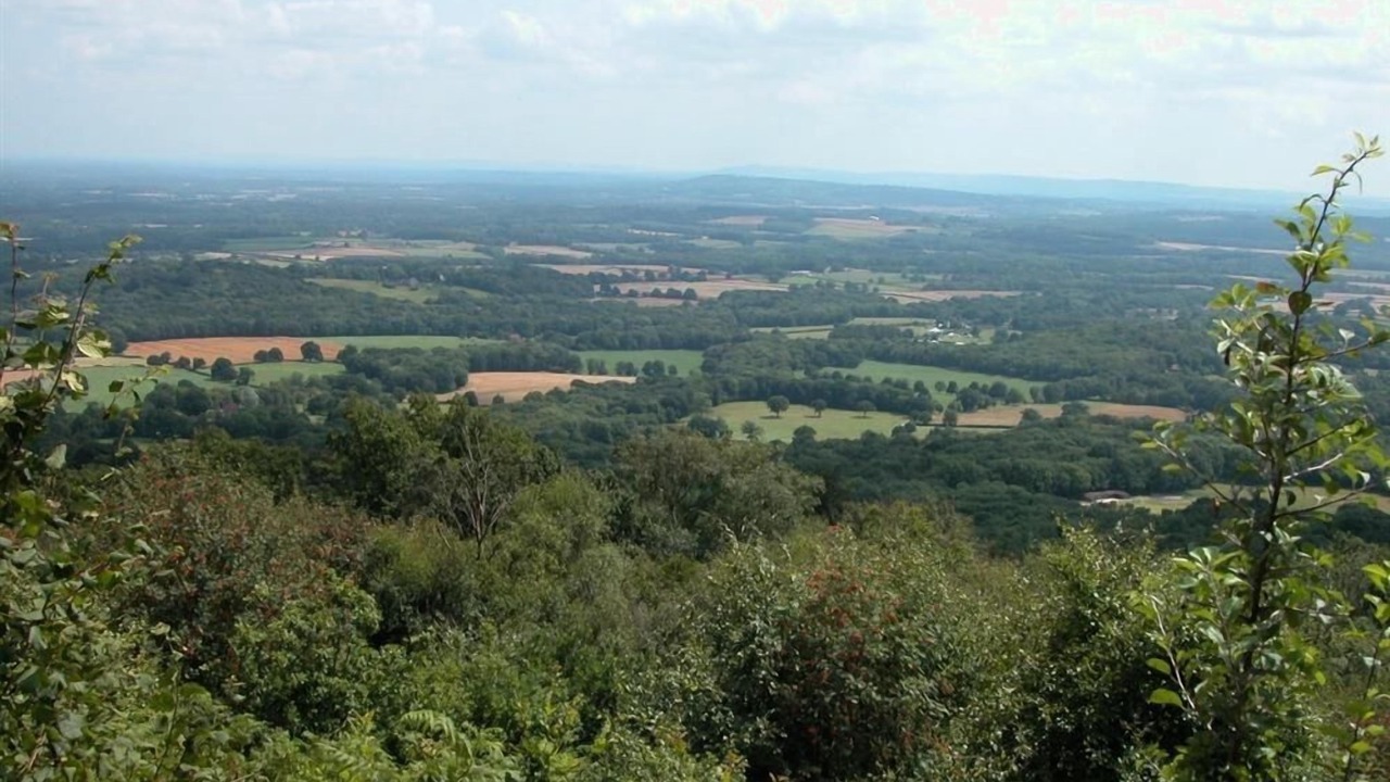 Photo of Others in North Stoke