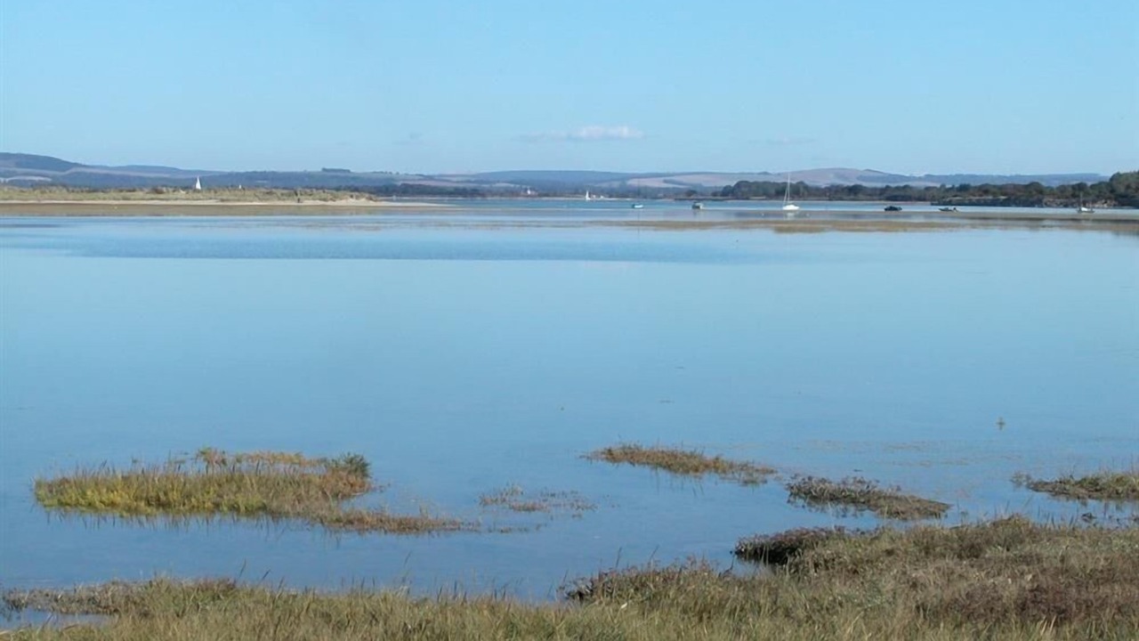 Photo of Others in North Stoke