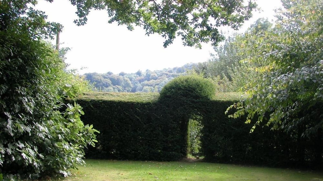 Photo of Others in North Stoke