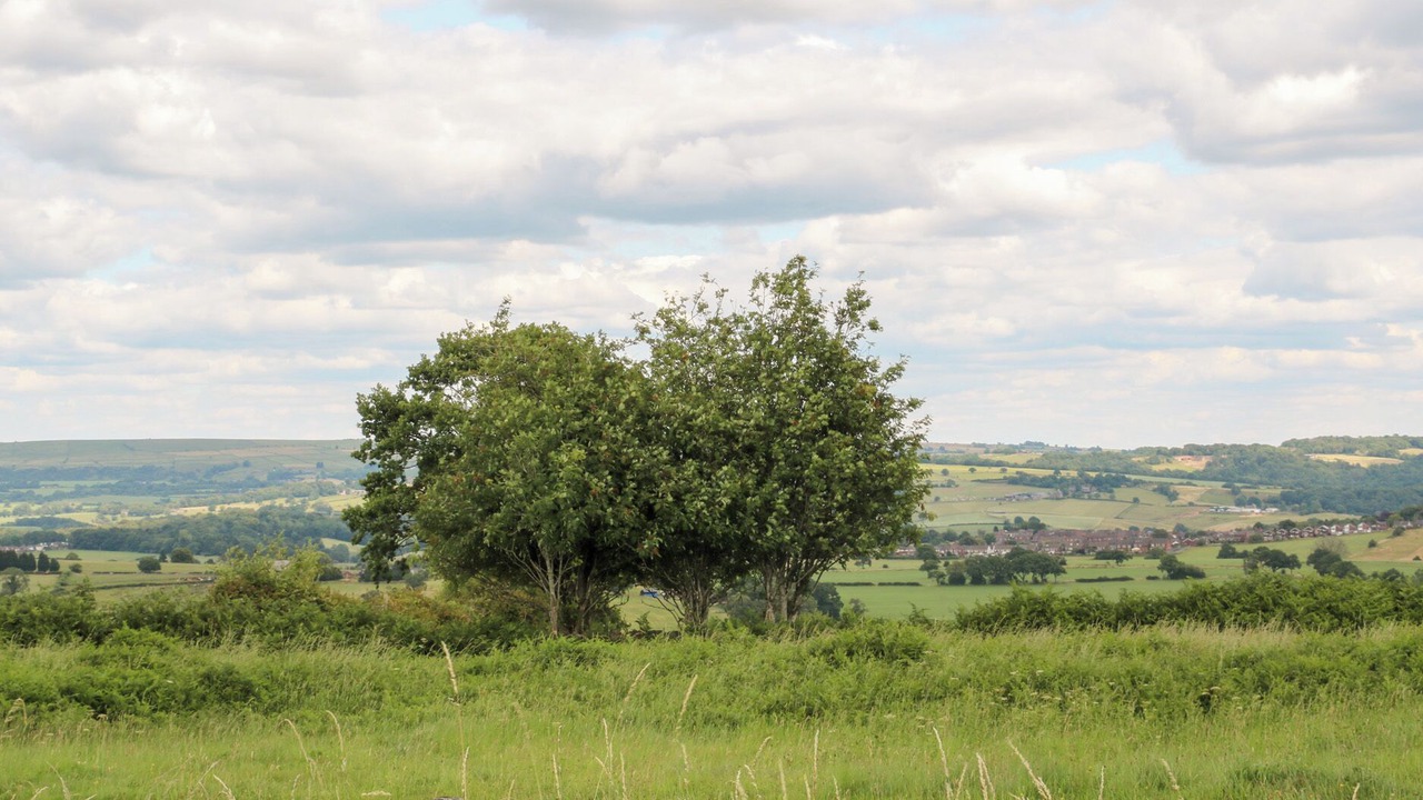Photo of Others in Cheddleton