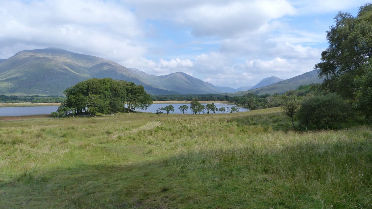 Photo of Others in Dalmally