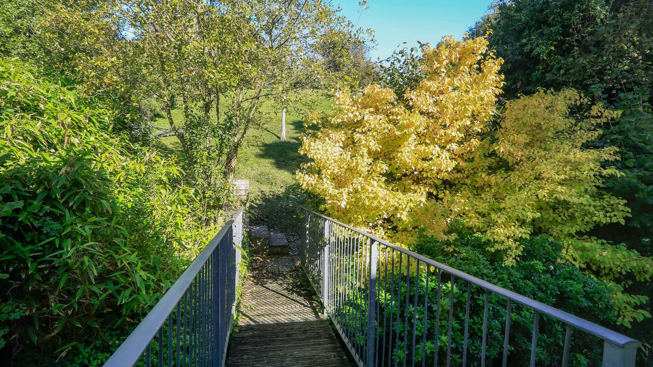 Photo of Others in Salcombe