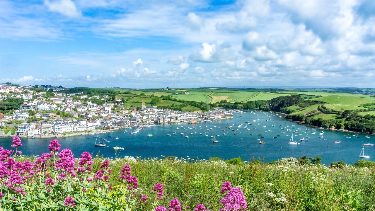 Photo of Others in Salcombe