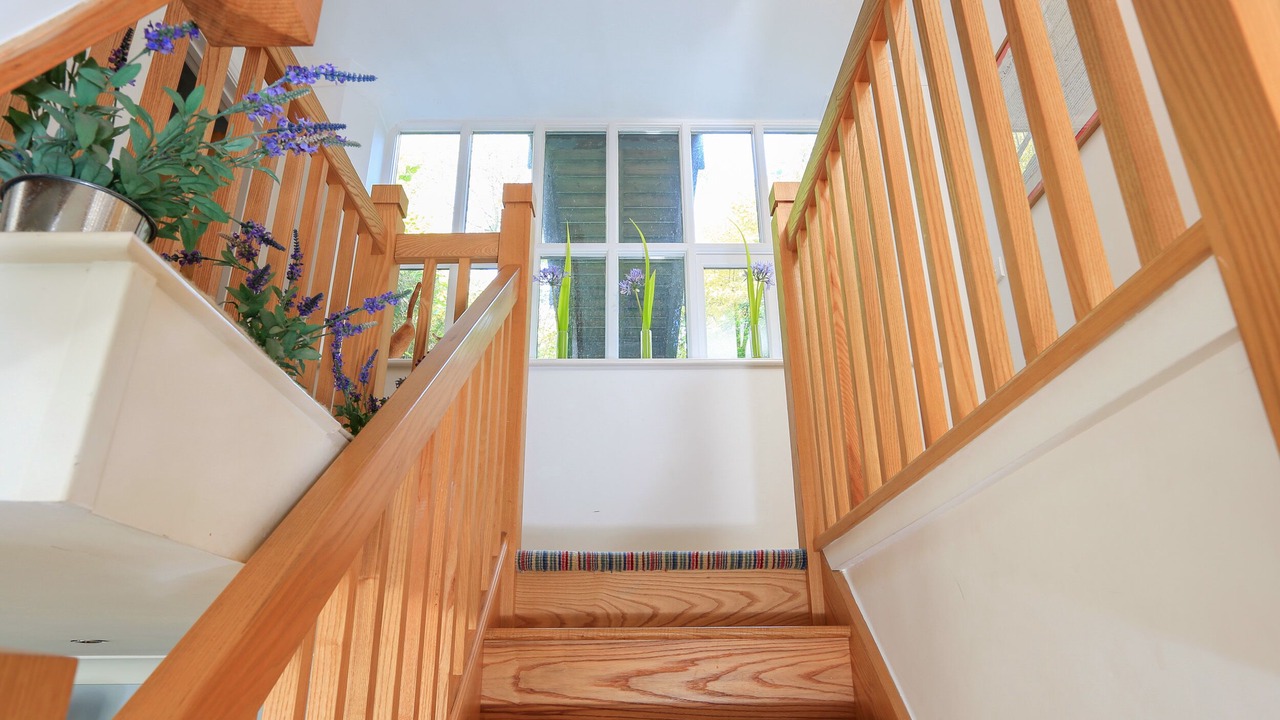 Photo of Others in Salcombe