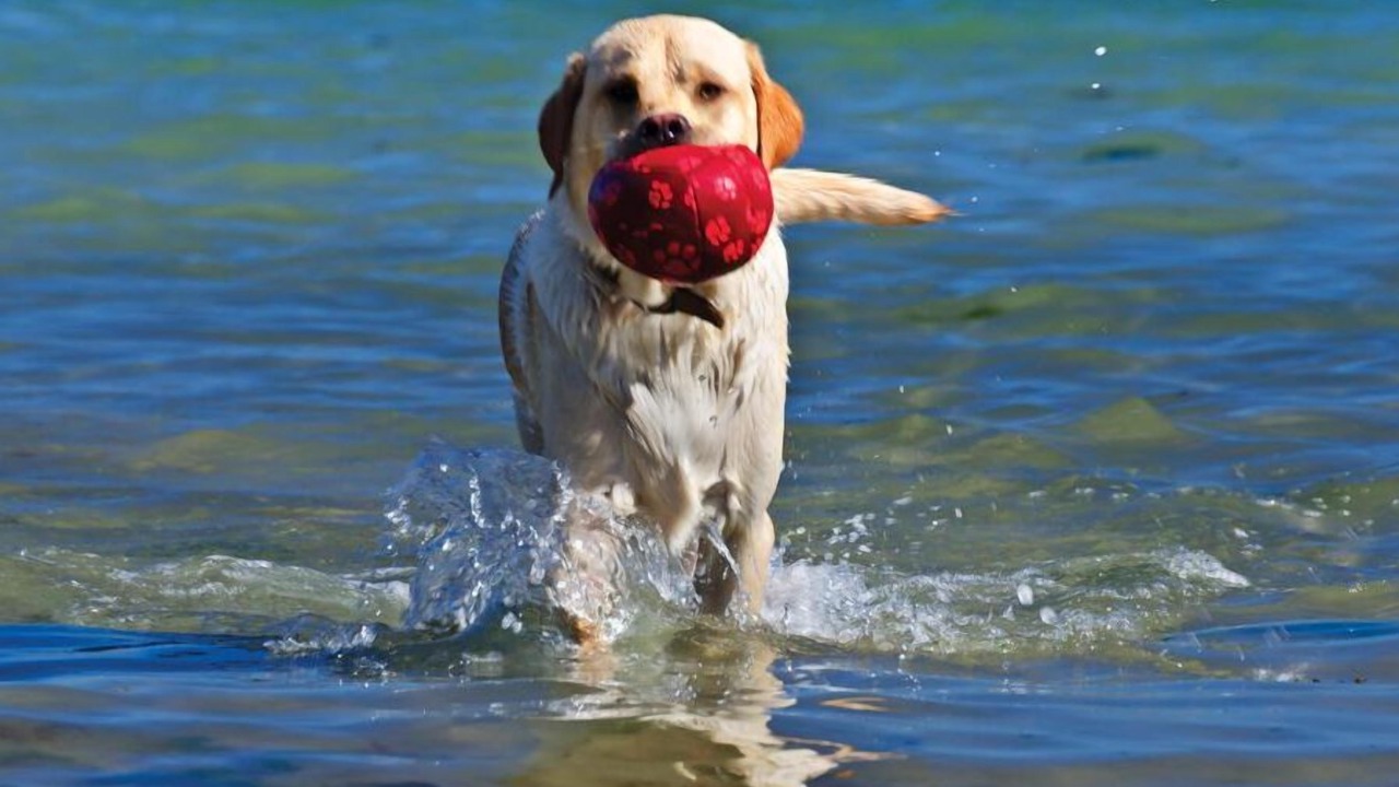 Photo of Others in Bolberry