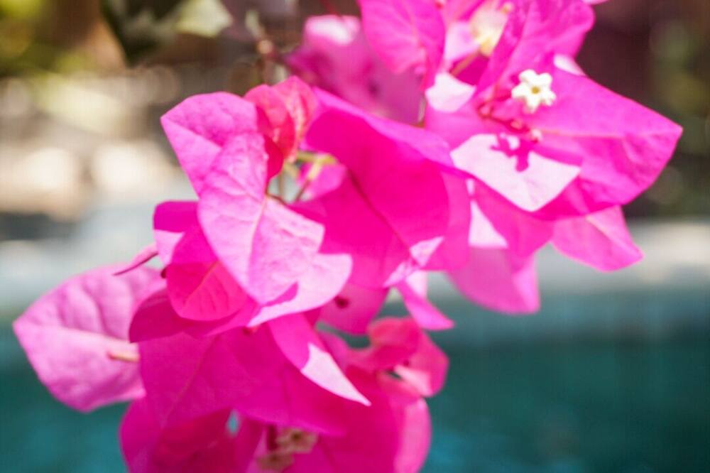 Photo of Outdoor in Gili Trawangan