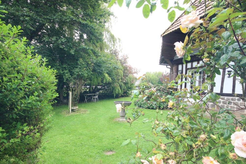 Photo of Outdoor in Paluel