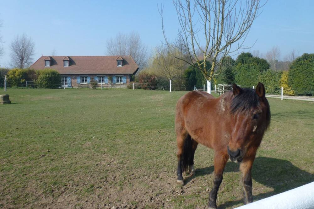 Photo of Outdoor in Paluel