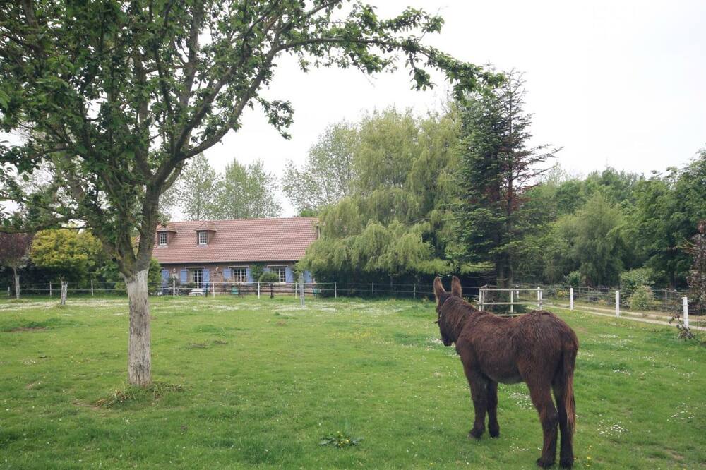 Photo of Outdoor in Paluel