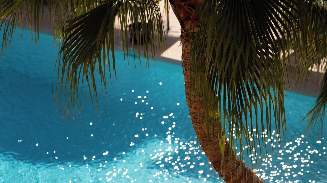 Photo of Outdoor in Elche
