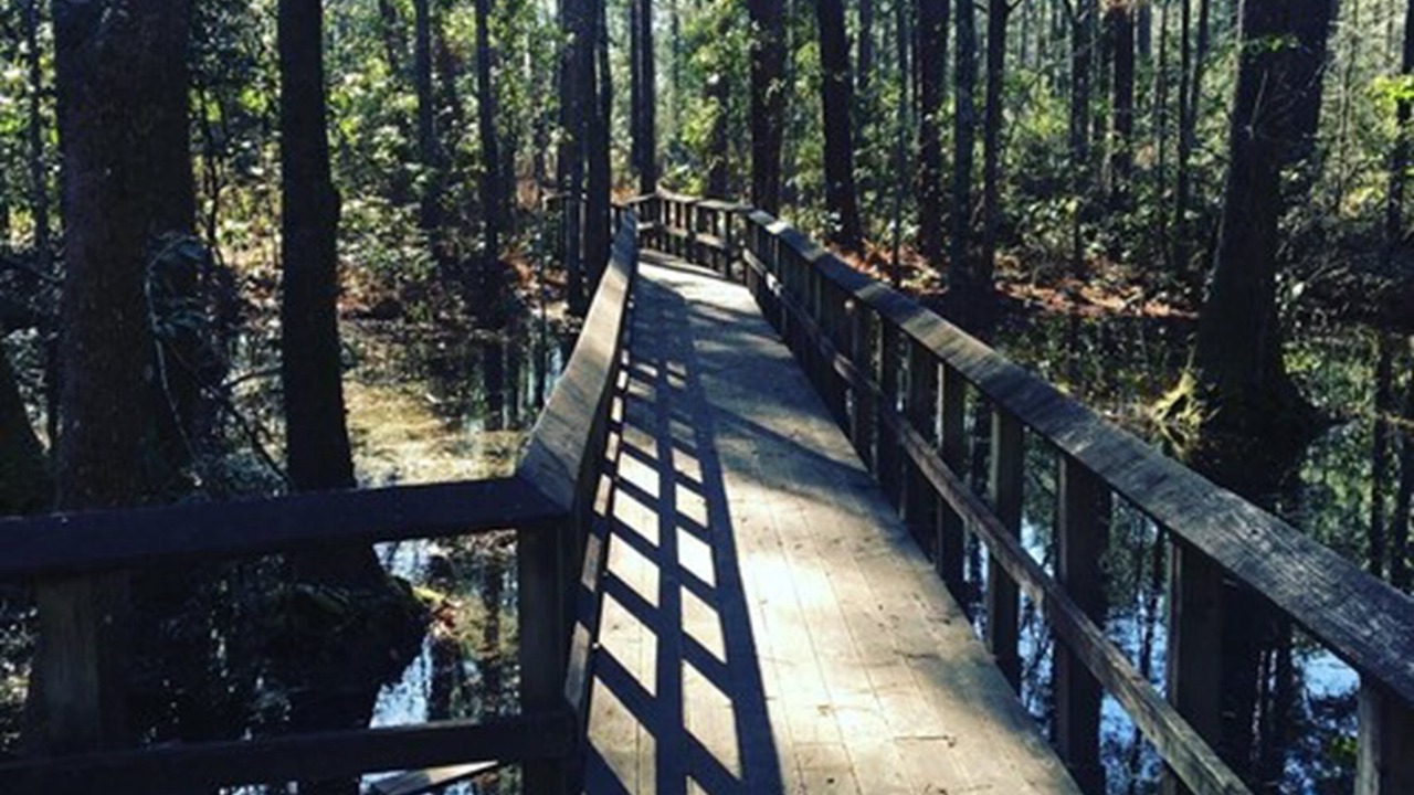 Photo of Outdoor in Summerville