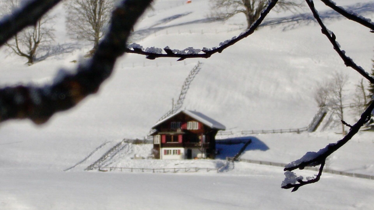 Photo of Others in Schoenried