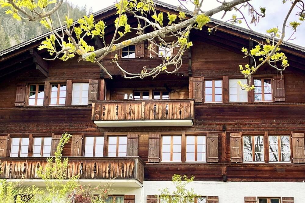 Photo of Others in Zweisimmen