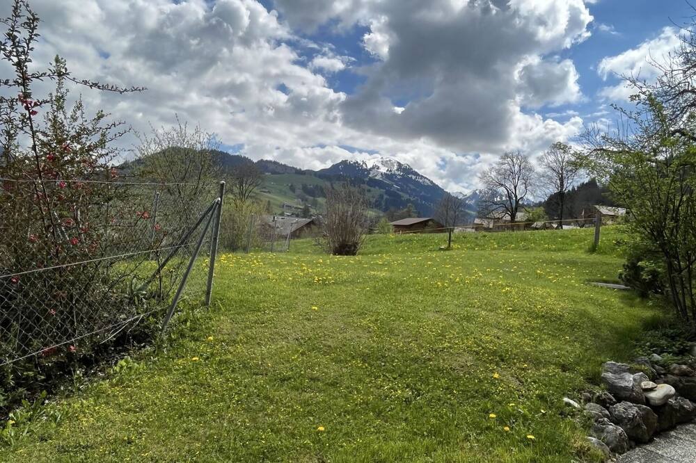 Photo of Others in Zweisimmen