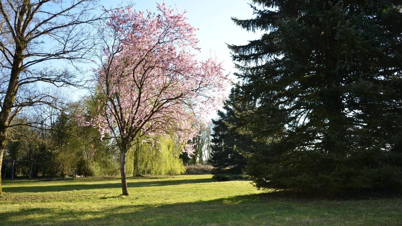 Photo of Outdoor in Briey