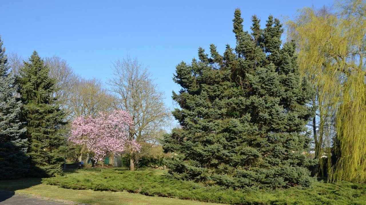Photo of Outdoor in Briey