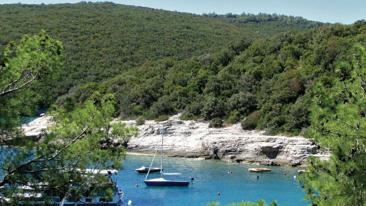 Photo of Others in Pavicini