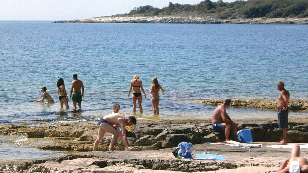 Photo of Others in Pavicini