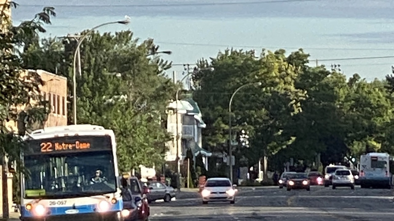 Photo of Others in Bellerive