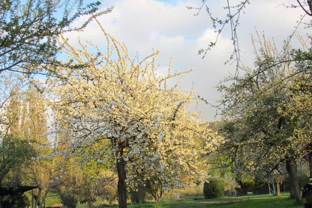 Photo of Outdoor in Yville-sur-Seine