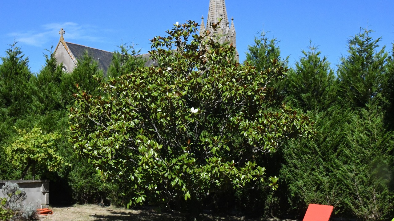 Photo of Outdoor in Saint-Jacut-les-Pins