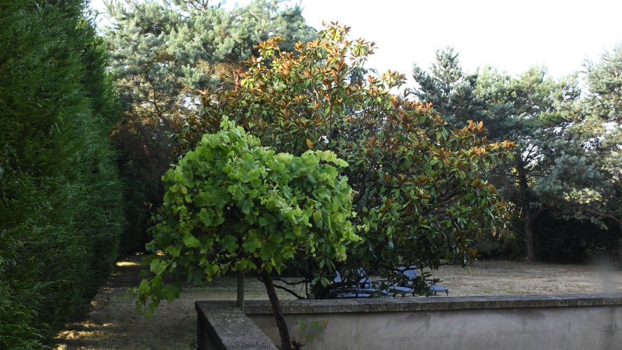 Photo of Outdoor in Saint-Jacut-les-Pins