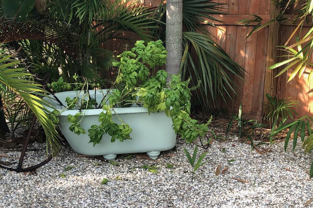 Photo of Outdoor in Sunset Beach