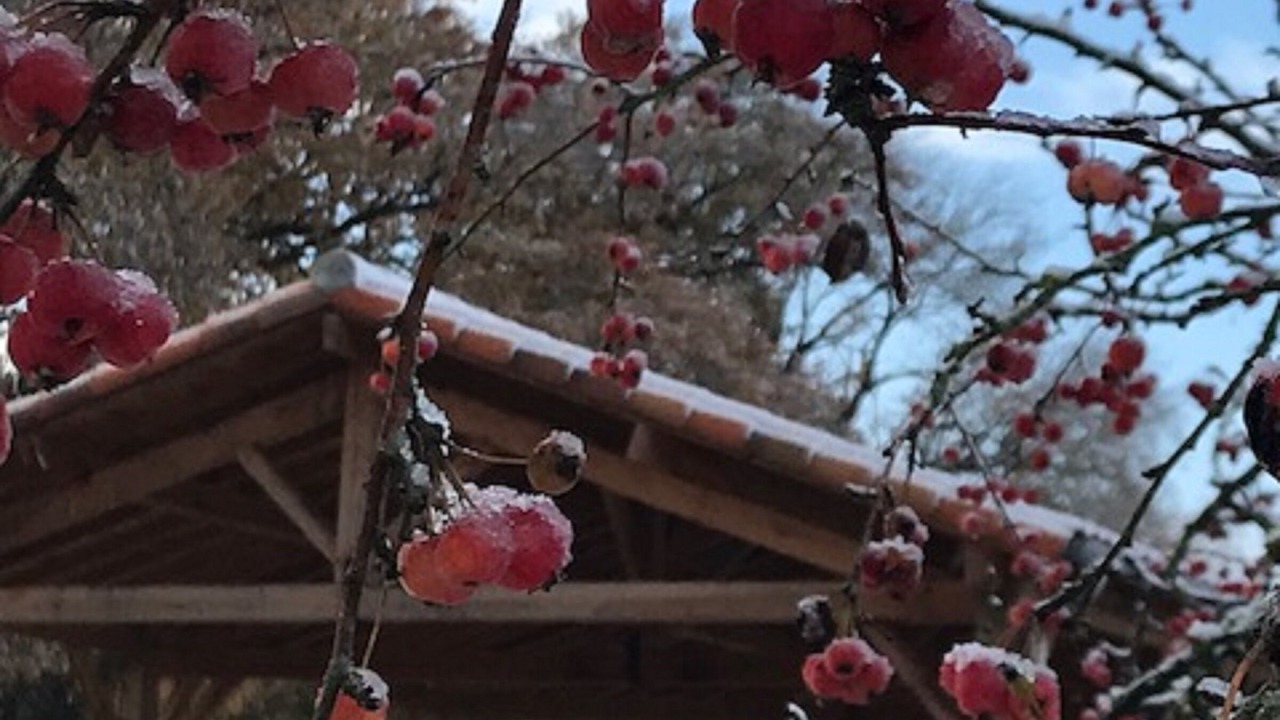 Photo of Outdoor in Usson-du-Poitou