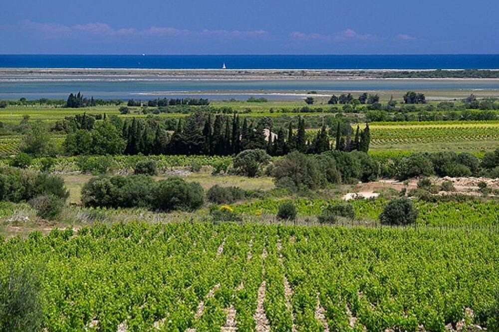 Photo of Outdoor in Roquefort-des-Corbieres