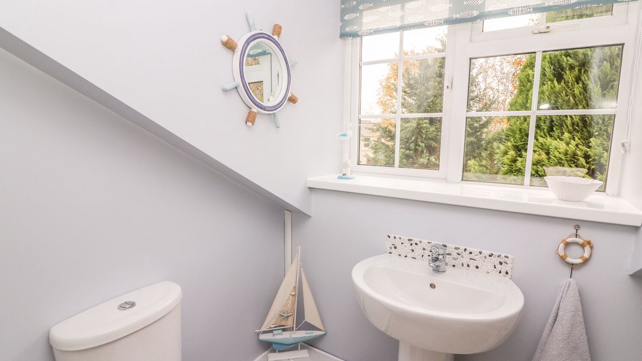 Photo of Others in Lampeter