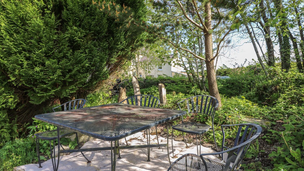 Photo of Others in Lampeter