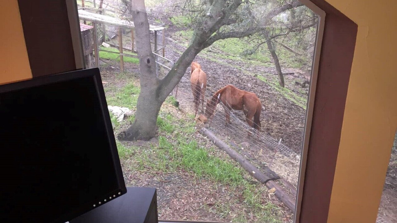 Photo of Others in Ione