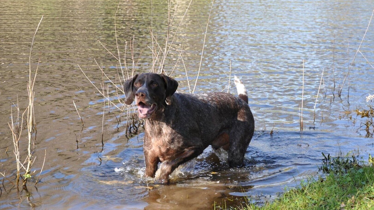 Photo of Others in Ione