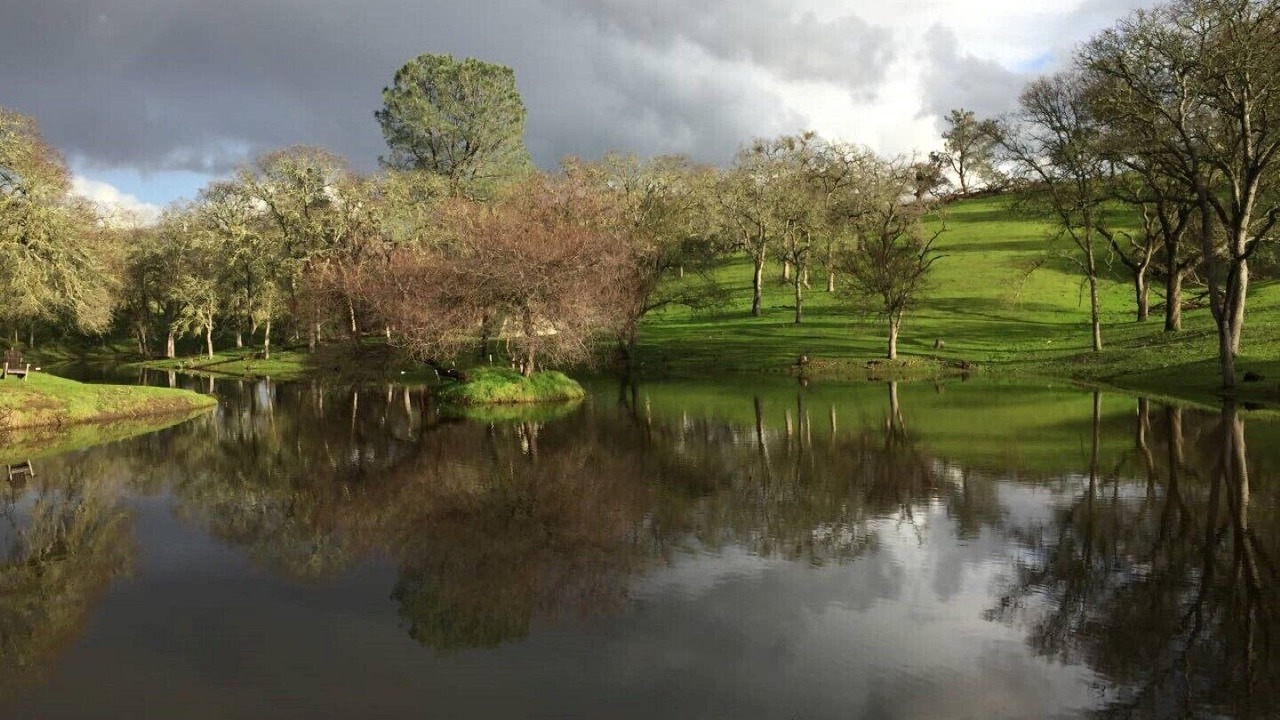 Photo of Outdoor in Ione