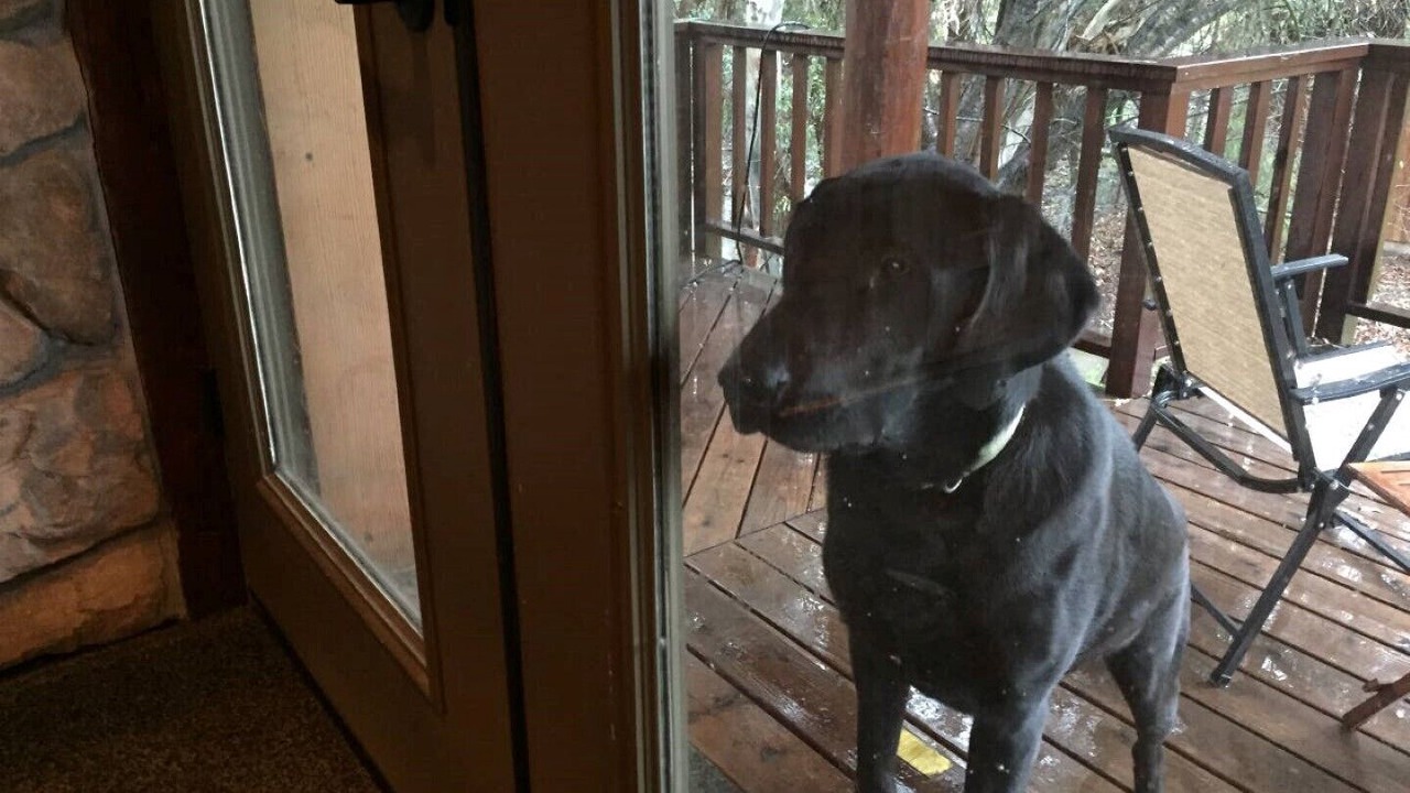 Photo of Patio Balcony in Ione