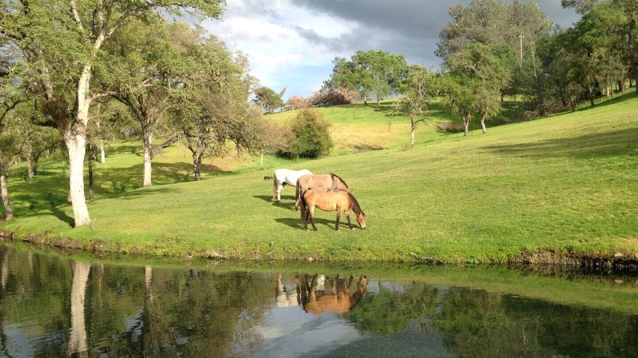 Photo of Outdoor in Ione