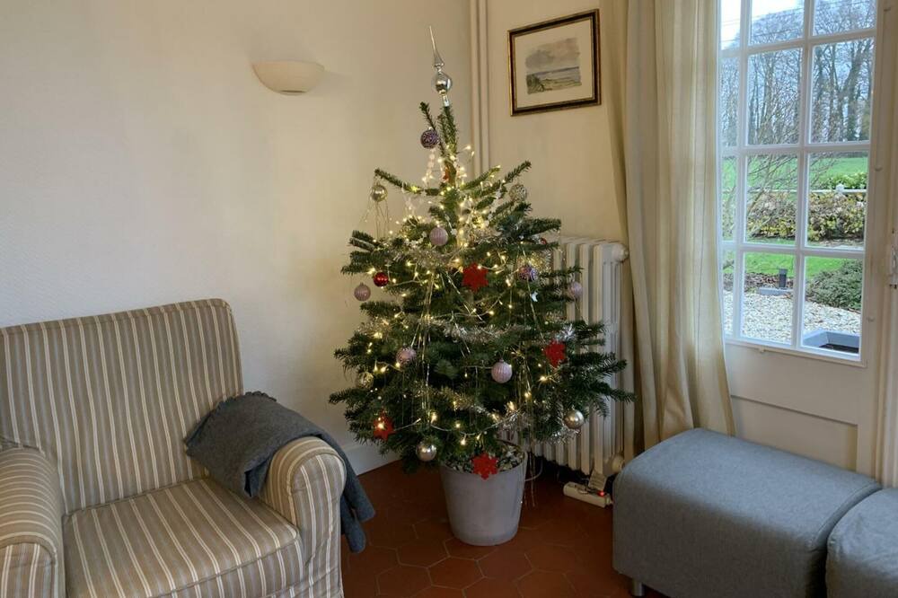 Photo of Livingroom in Angiens