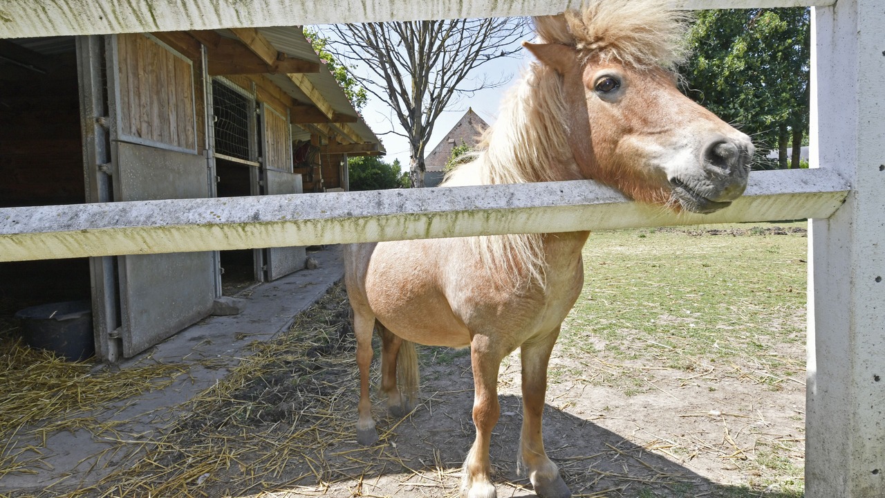 Photo of Outdoor in Dury