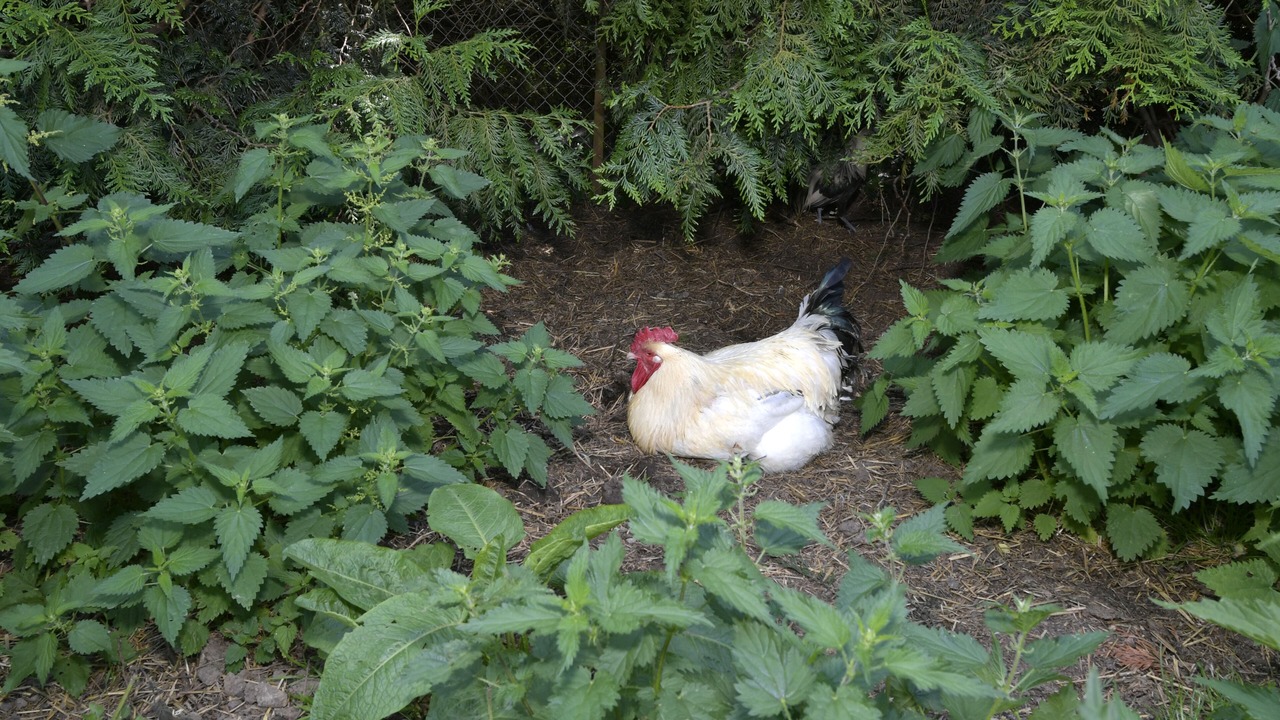 Photo of Outdoor in Dury