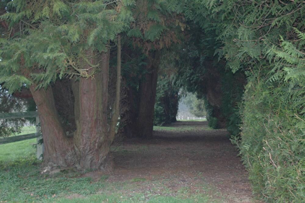Photo of Outdoor in Touffreville-la-Corbeline
