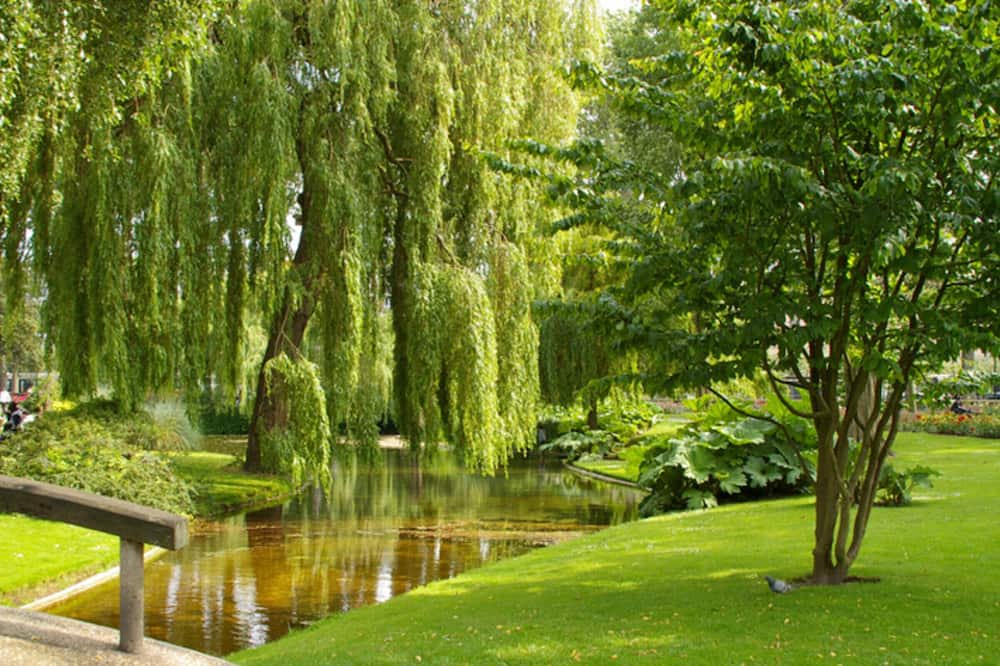 Photo of Outdoor in Saint-Christophe de la Foret