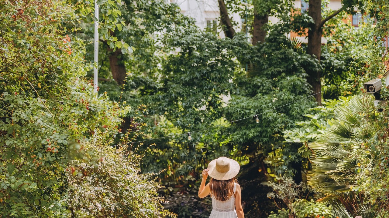 Photo of Outdoor in 5th Arrondissement