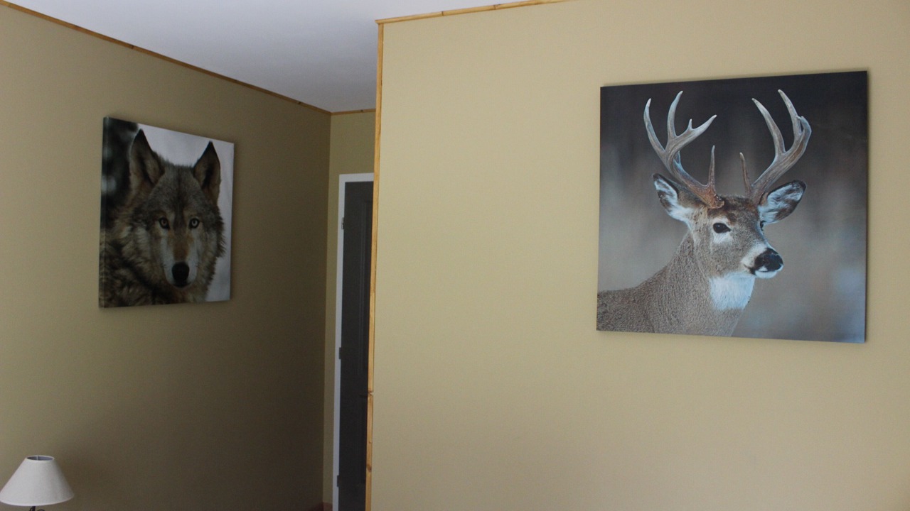 Photo of Bedroom in Anla