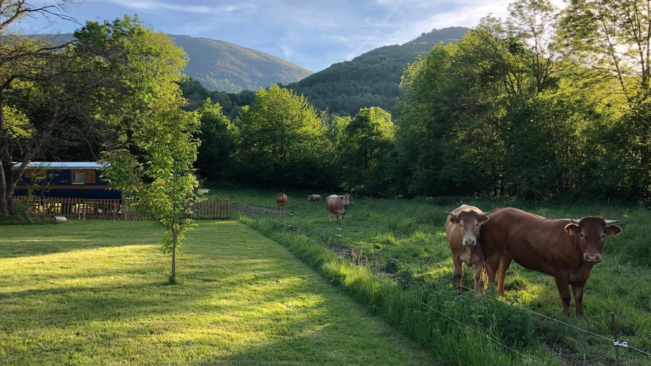 Photo of Outdoor in Anla