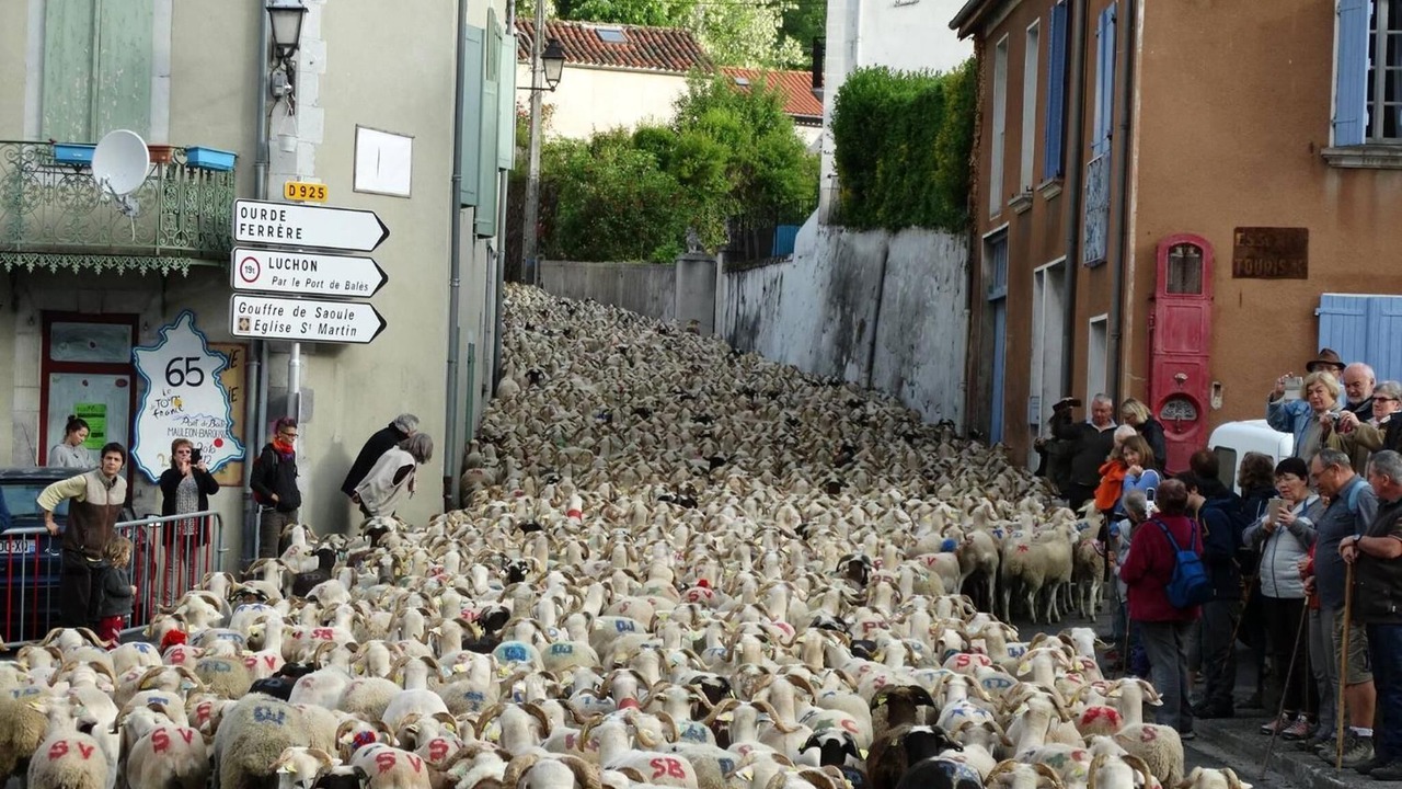 Photo of Others in Anla