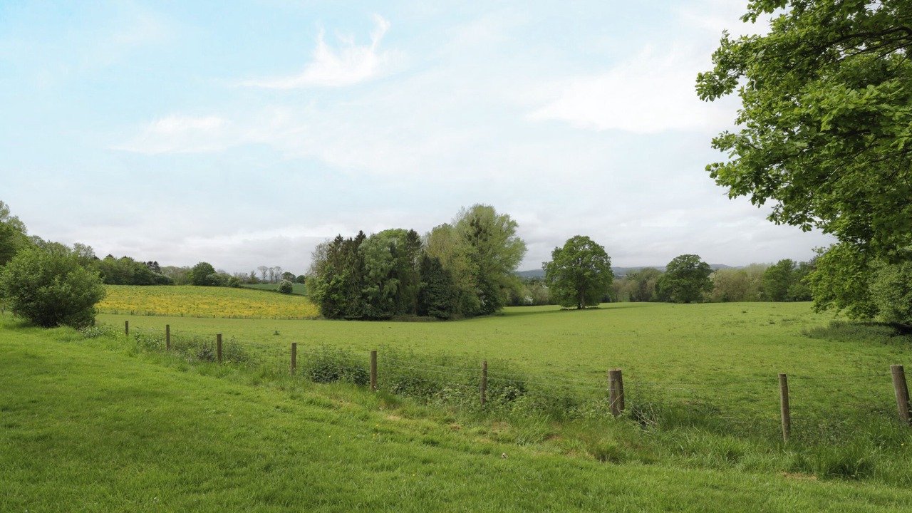 Photo of Others in Docklow