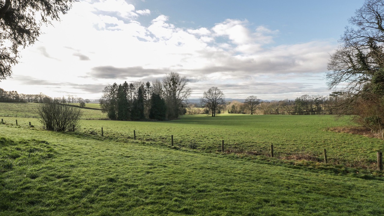 Photo of Others in Docklow