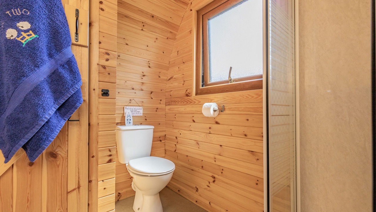 Photo of Bathroom in Flint