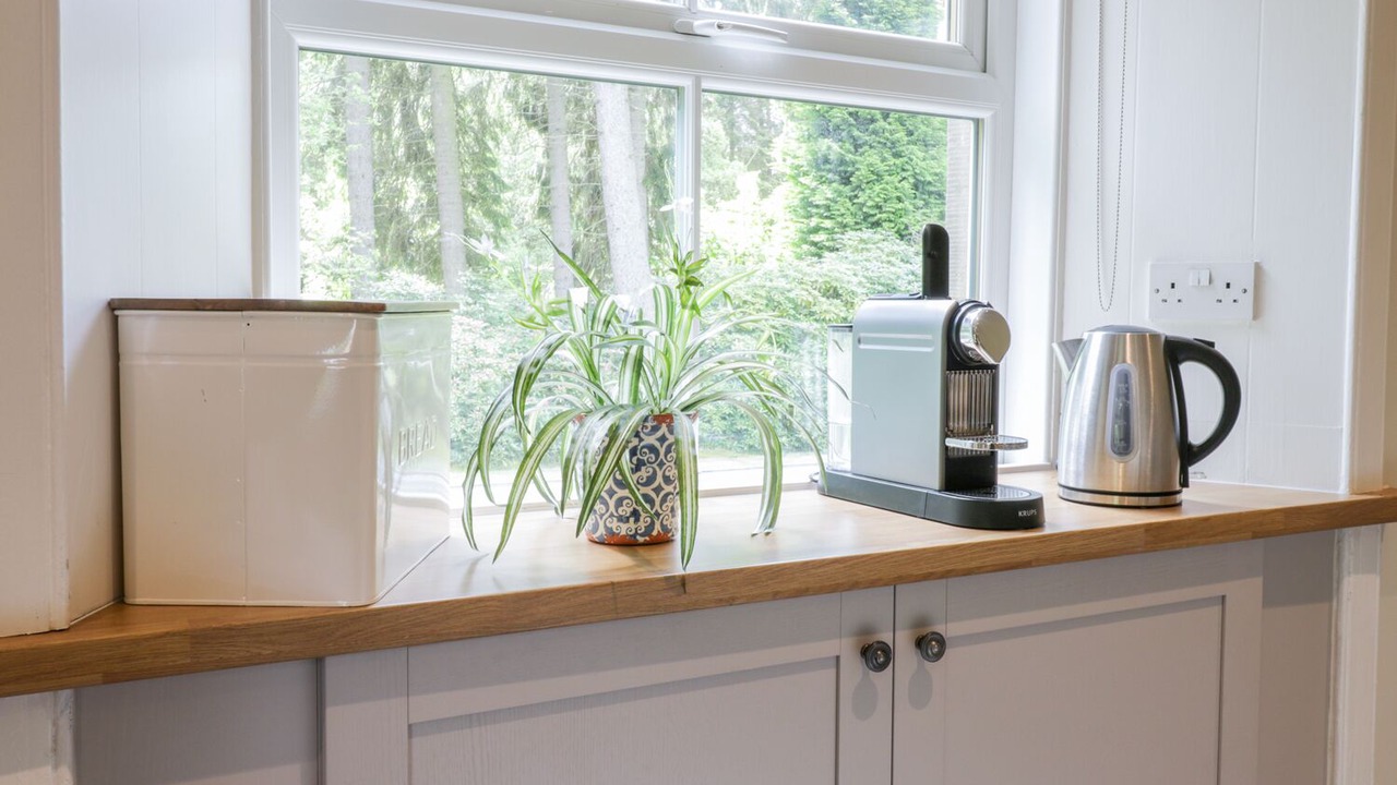 Photo of Others in West Calder