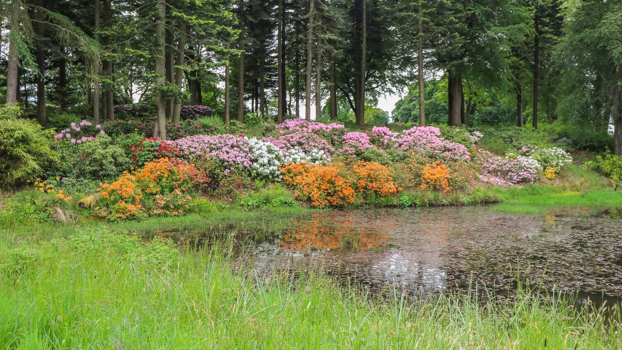 Photo of Others in West Calder